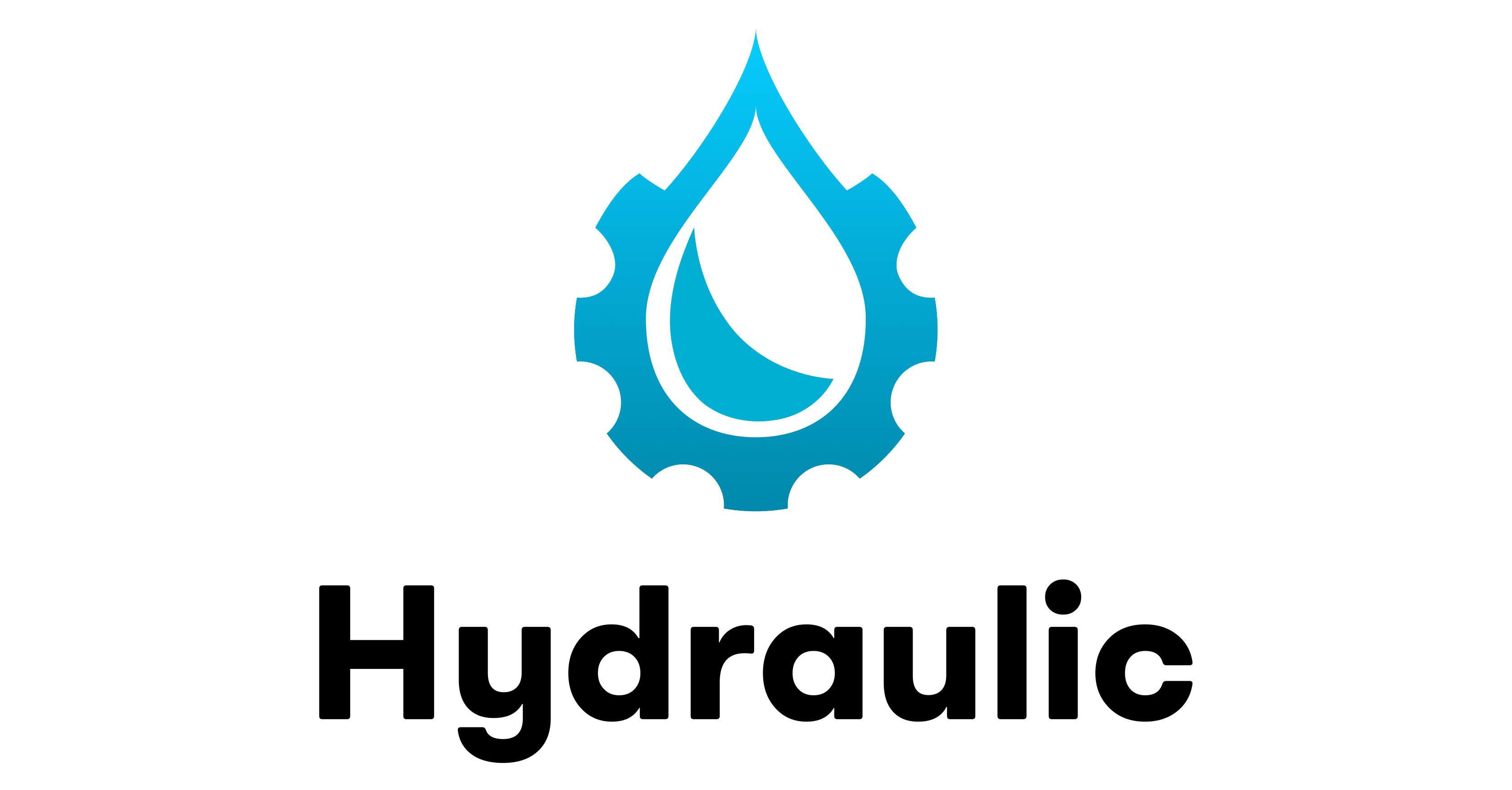 Hydraulic